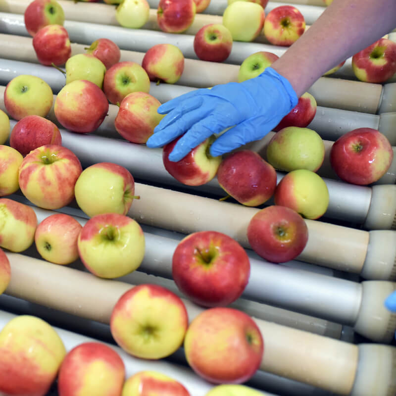 Onderhandelinsresultaat cao Groenten- en Fruitverwerkende Industrie Onderhandelinsresultaat cao Groenten- en Fruitverwerkende Industrie