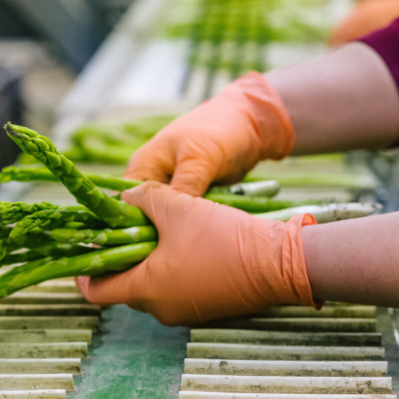 Onderhandelingsresultaat cao Uitzendkrachten Onderhandelingsresultaat cao Uitzendkrachten