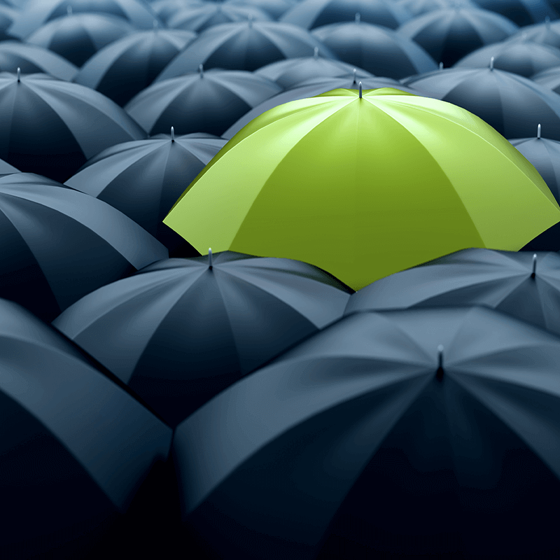 Omgaan met verschillen