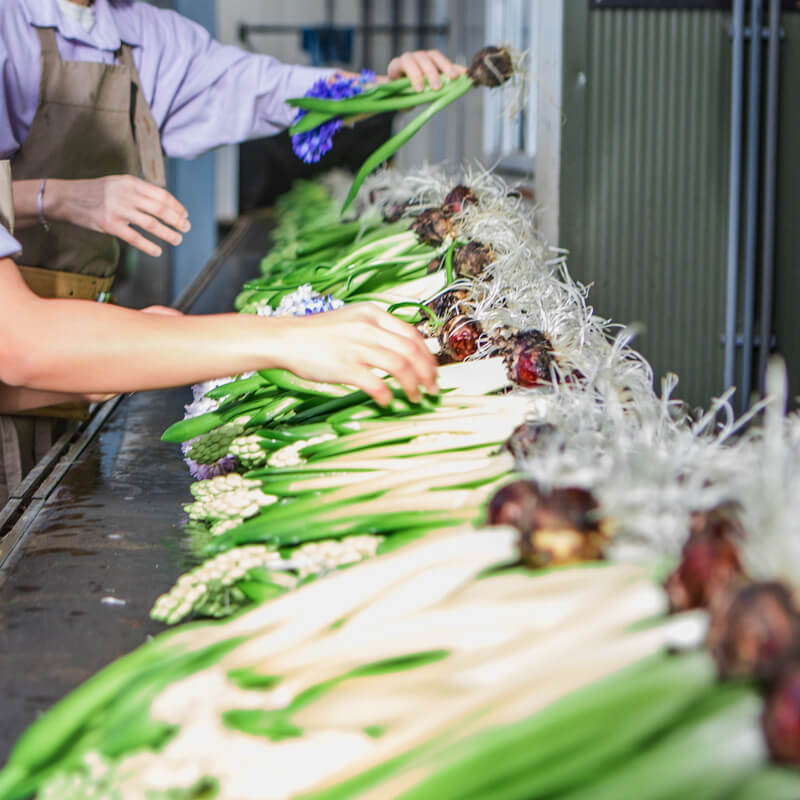 Onderhandelingsresultaat cao NBBU uitzendkrachten