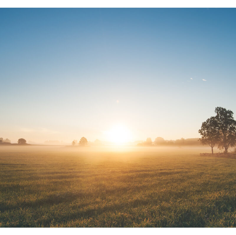 Meditatie 1 - Week van het Leven 2022