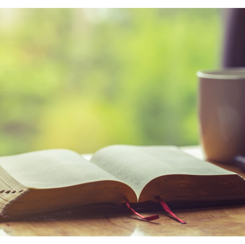 Meditatie 3 - Week van het Leven 2022